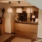 Merica Guest house Bor