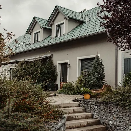 Guest house Merica Bor
