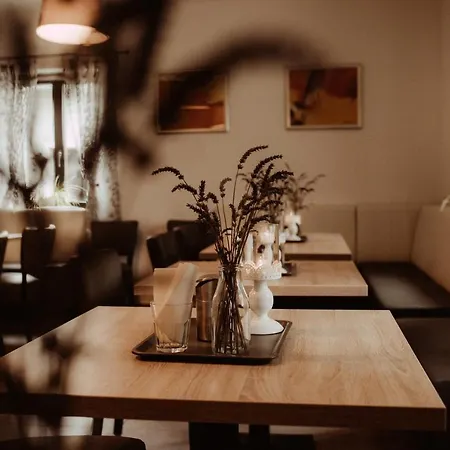 Guest house Merica 3*