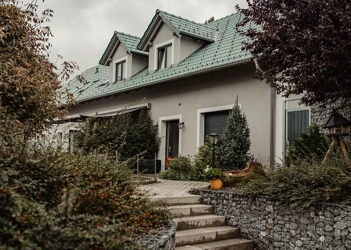 Casa de hóspedes Merica Bor